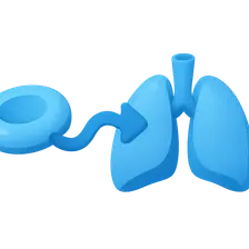 Carbon dioxide transport
