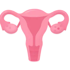Reproductive Physiology