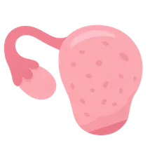 Primary Ovarian Insufficiency