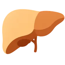 Trace minerals (Fe, Zn, Cu, Se, I)