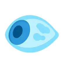 Scleral Degenerations