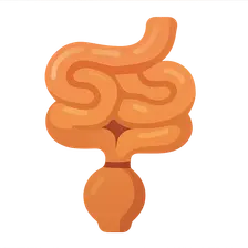 Small bowel obstruction