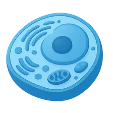 Cell Biology and Organelles