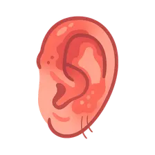 Relapsing Polychondritis