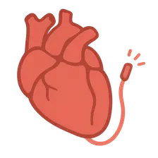 Catheter ablation procedures