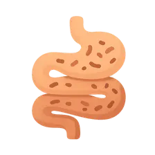 Small intestinal bacterial overgrowth