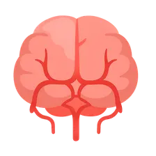 Posterior cerebral artery territory