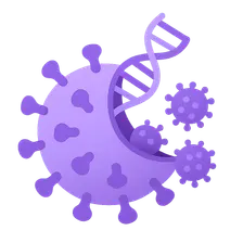 Viral Replication