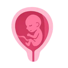 Intrauterine Growth Restriction