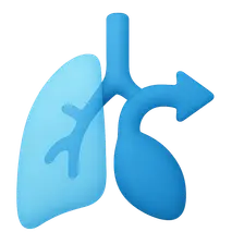Shunt physiology (low V/Q)