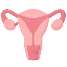 Screening for preeclampsia risk factors