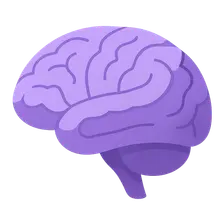 Cerebral Hemispheres