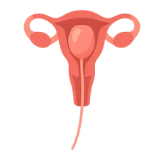 Balloon tamponade techniques