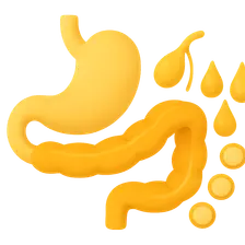 Lipid digestion and absorption