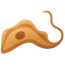 Trypanosomes