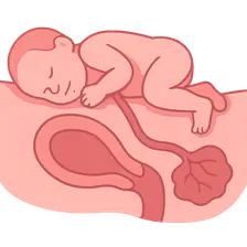 Fourth stage of labor