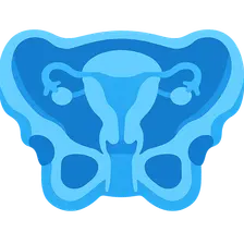 Pelvic cross-sections