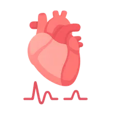 Heart sounds and their origin