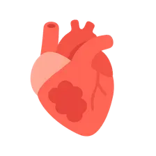 Cardiac manifestations of systemic diseases
