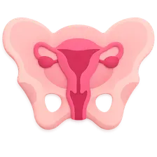 Female Pelvic Imaging