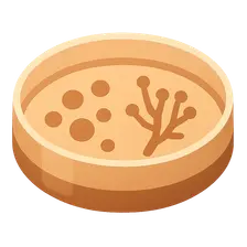 Diagnostic approaches for dimorphic fungi