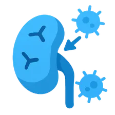 Autoimmune mechanisms