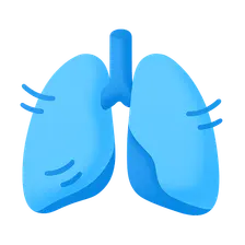 Respiratory Adaptations to Exercise
