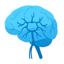 Venous drainage of brain