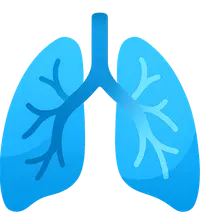 Pulmonary circulation hemodynamics
