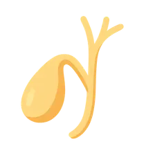 Biliary Tract Imaging
