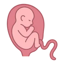 Umbilical cord prolapse