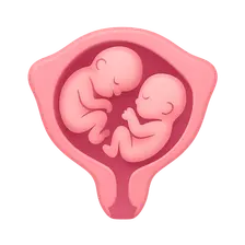 Multiple Gestation
