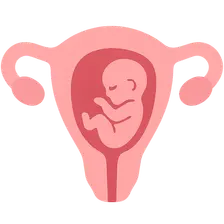 Management of common pregnancy complaints