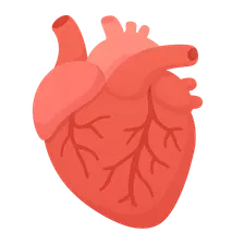 Myocarditis and cardiomyopathies