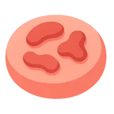 Drug-Induced Blood Dyscrasias