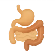 Gastrointestinal Tract Imaging