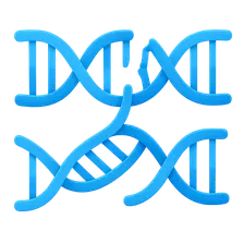 Homologous recombination