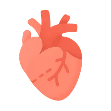 Inherited arrhythmia syndromes