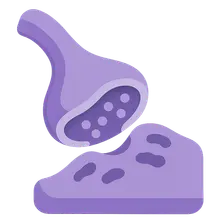 Neuromuscular Junction Diseases