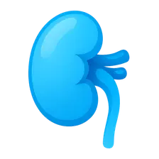 Water balance and osmoregulation