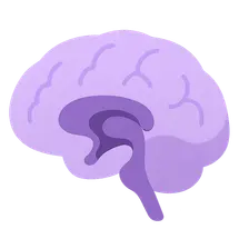 Limbic System
