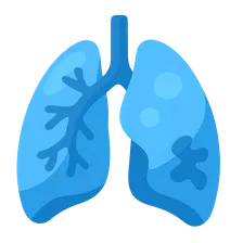 V/Q mismatch in COPD