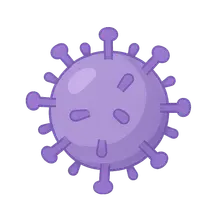 Herpesvirus antivirals