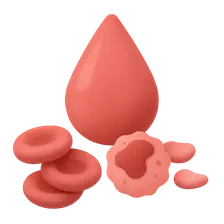 Composition and Functions of Blood