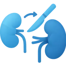 Kidney transplantation