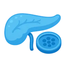 Pancreas and islet cell transplantation