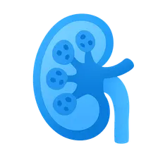 Nephrotic syndrome disorders