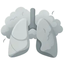 Air Pollution and Health Effects