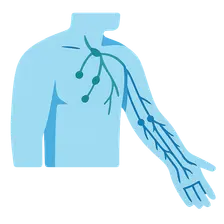 Upper limb lymphatic drainage