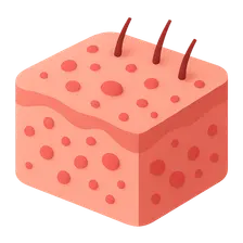 Hand, Foot, and Mouth Disease